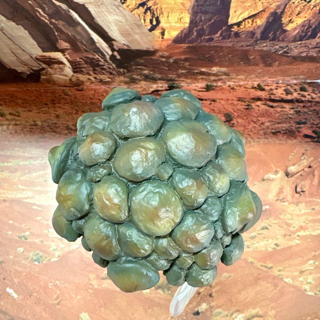 タグ付き エクスプラス 東宝マニアックス マタンゴ ソフビ フィギュア ゴジラ