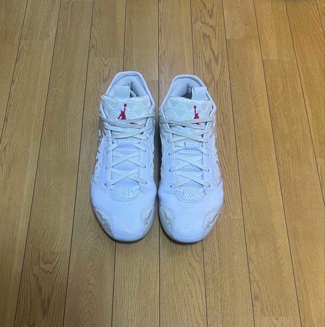 Air Jordan エアジョーダン 39 28.5cm