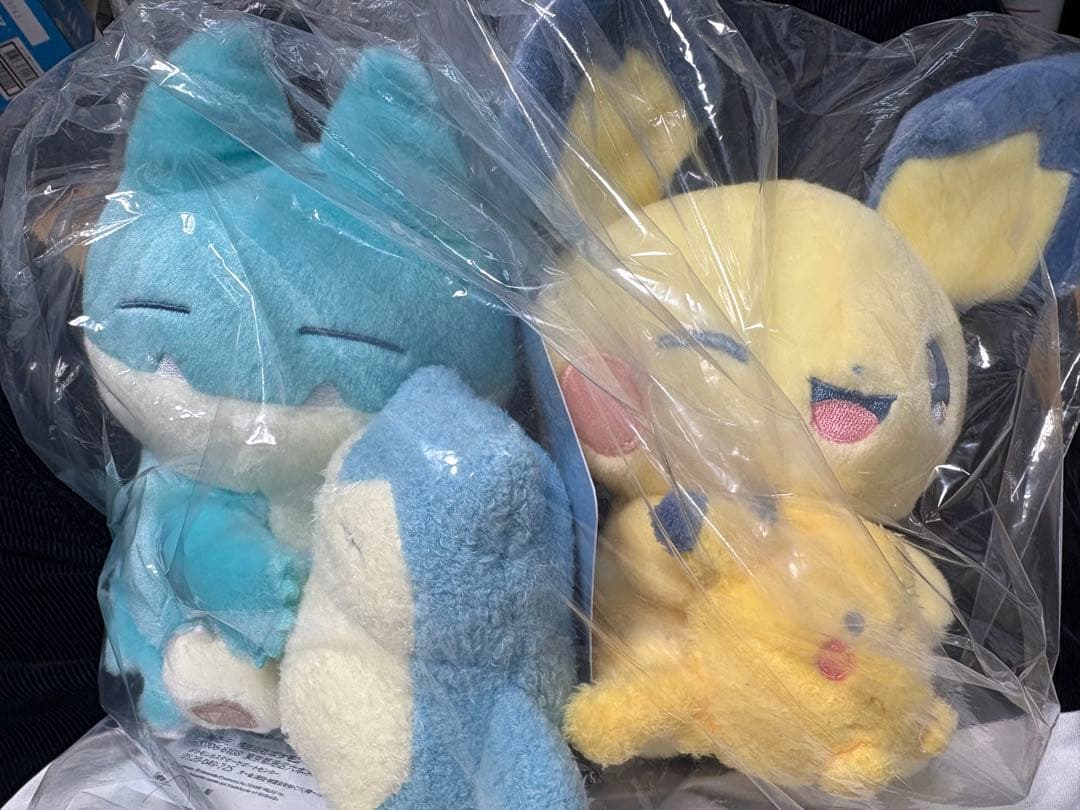 ポケモン ぬいぐるみ　Pokemon Little Daydream