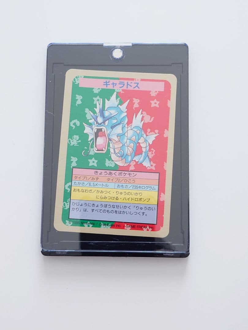 ポケモンカード　トップサン　番号なし　裏青　ギャラドス