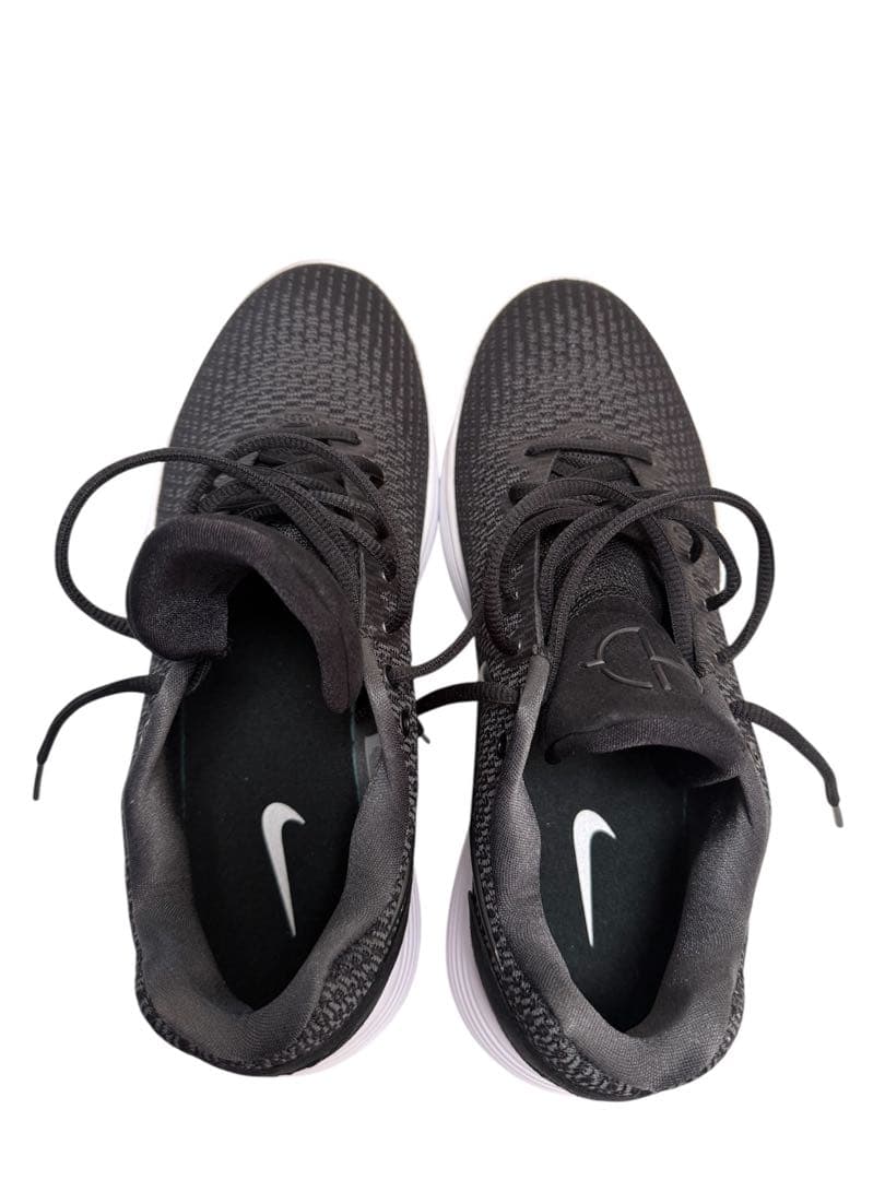 NIKE ハイパーダンク 2017LOW