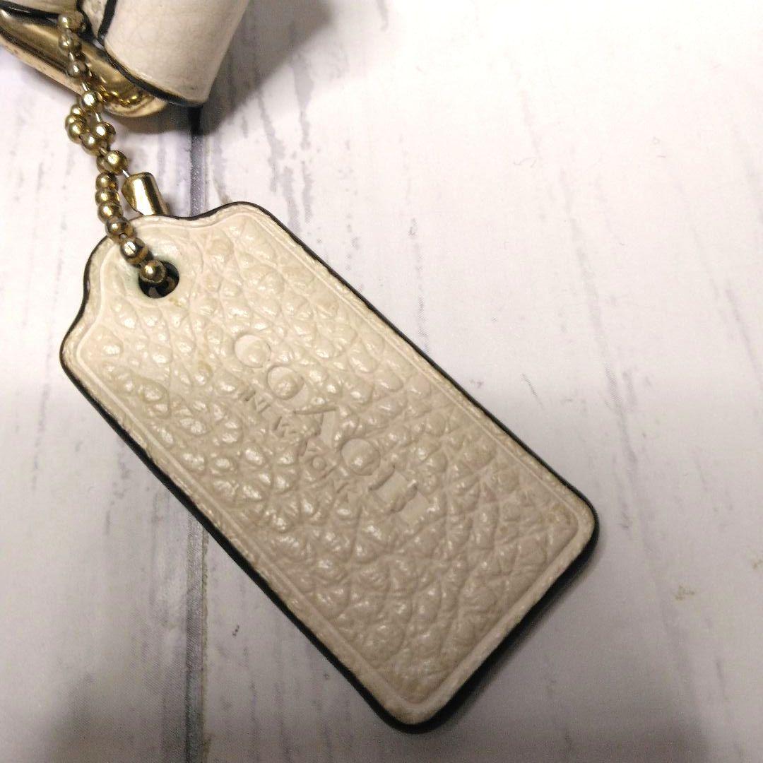 COACH　ウエストポーチ　シボ革　ロゴ　オールレザー　M1980-F48738