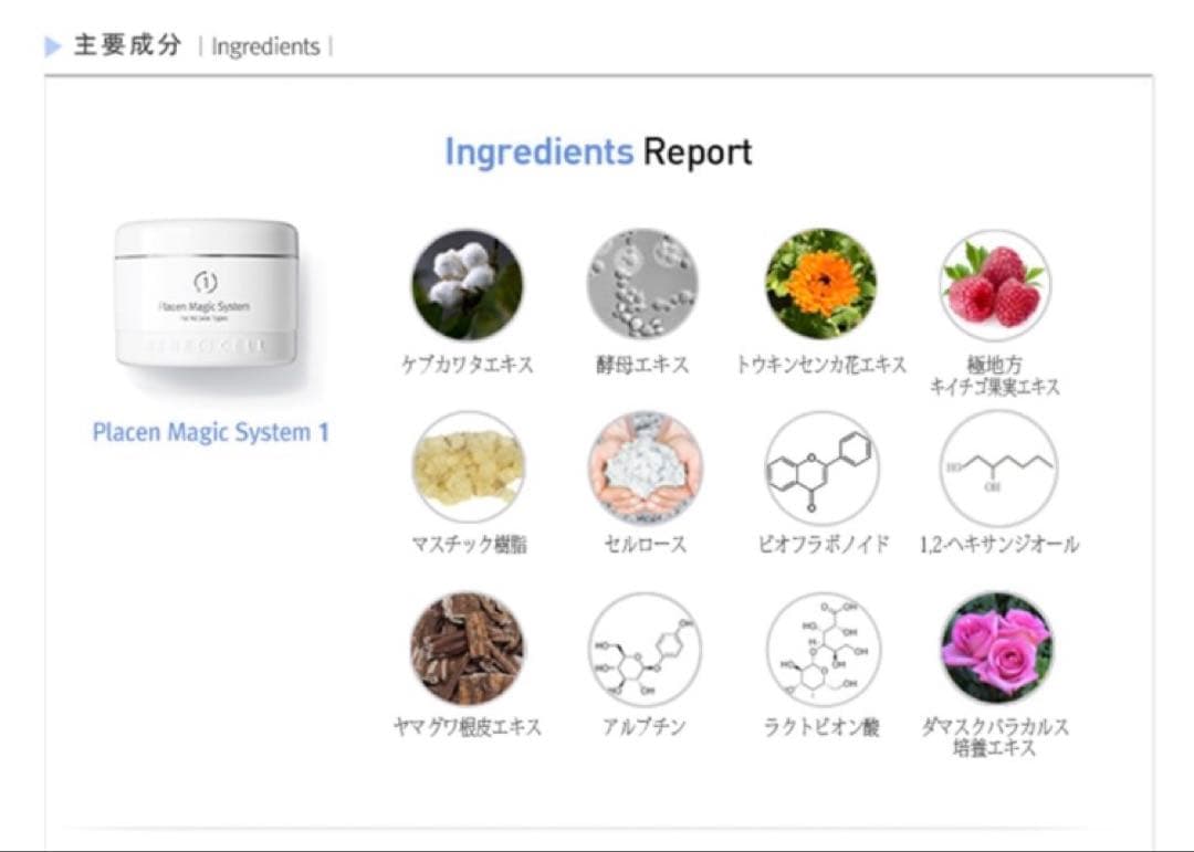 リス子様⭐︎専用ルネセル プラセン マジックシステム 1＆2セット