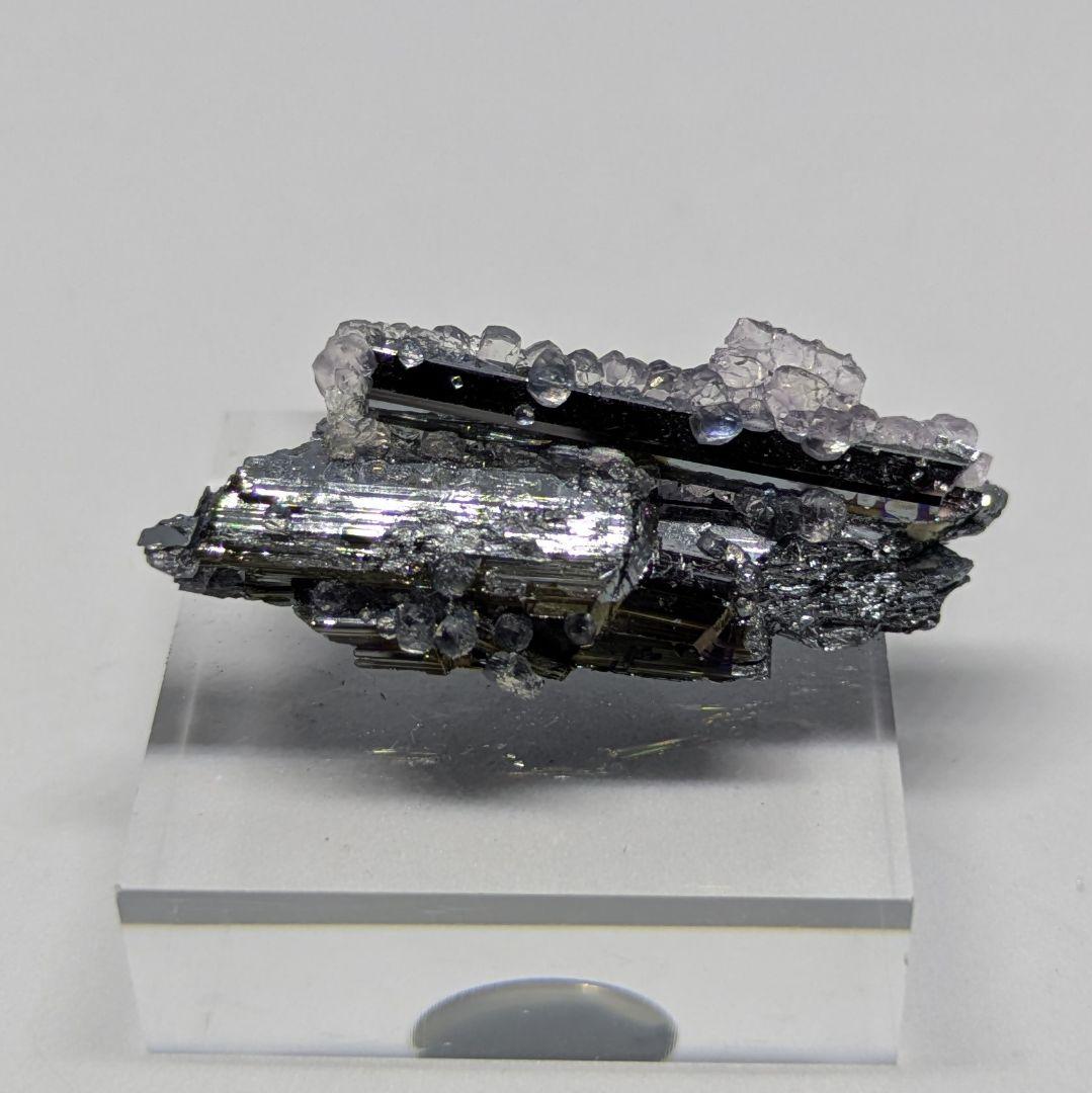 スティブナイト　フローライト　共生