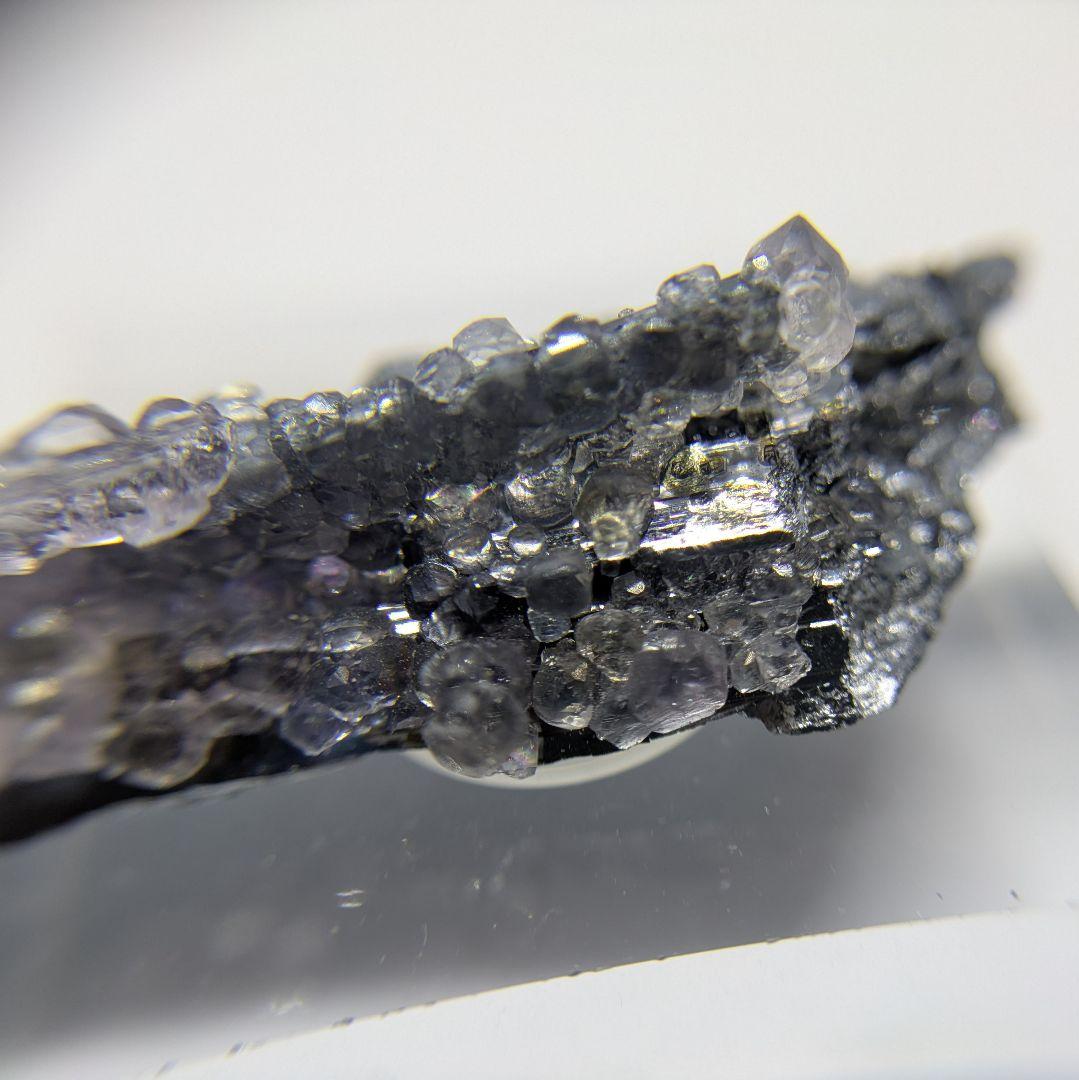 スティブナイト　フローライト　共生