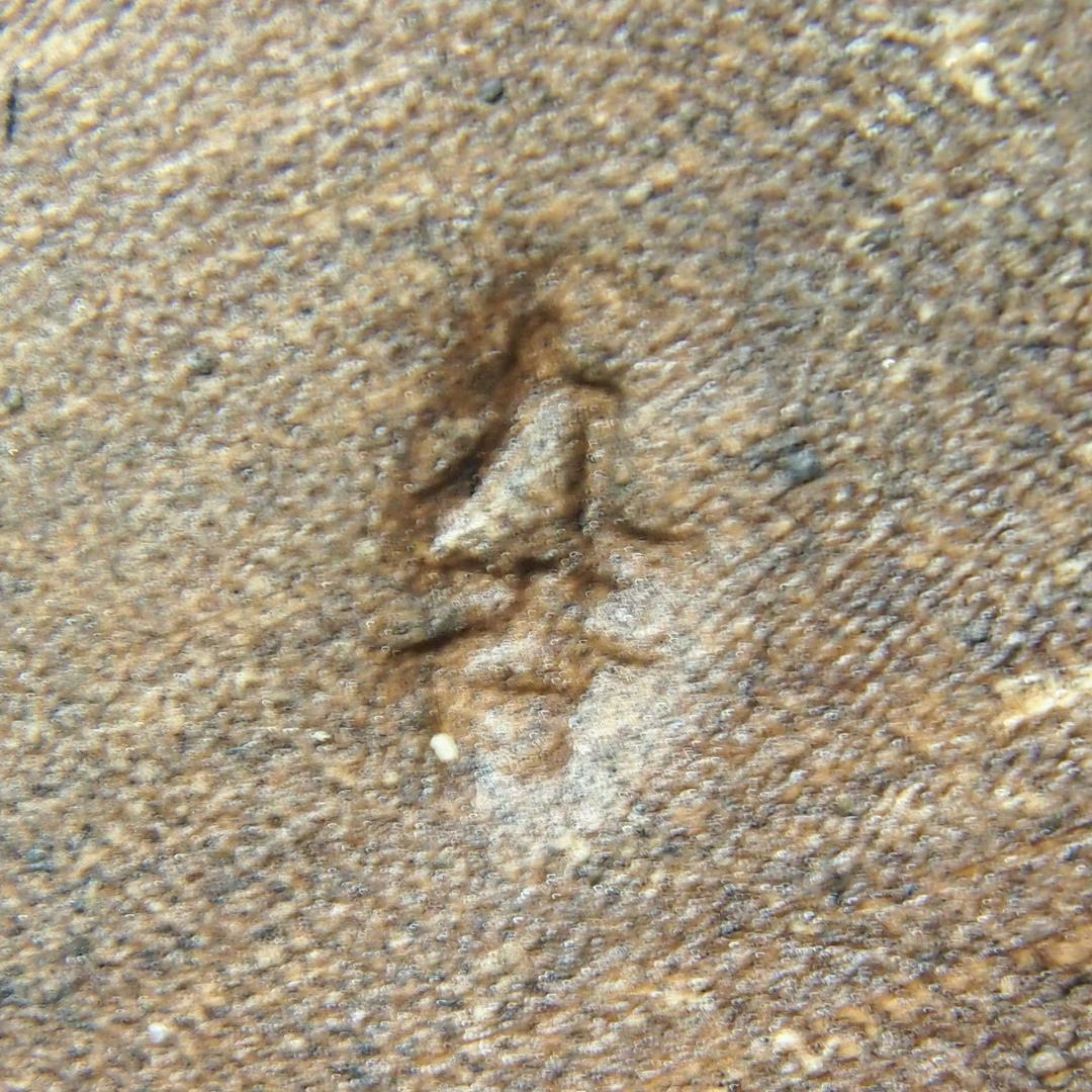 【希少・良品】九谷焼 狛犬 シルバー/銀色 玉乗り獅子/シーサー 魔除け 置物