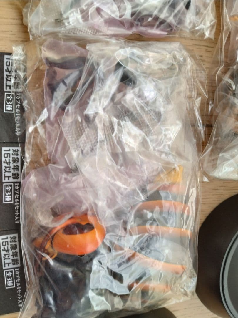 いきもの大図鑑 アドバンス スズメバチ　 全3種セット オオスズメバチ