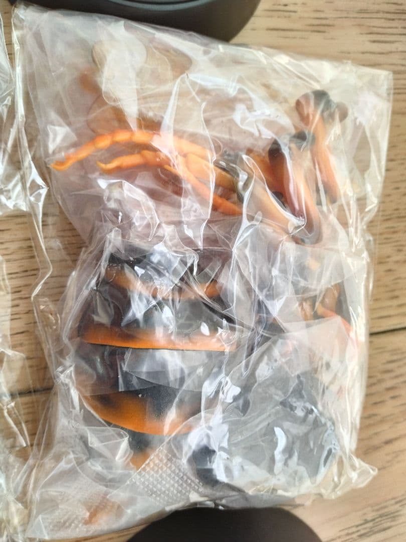 いきもの大図鑑 アドバンス スズメバチ　 全3種セット オオスズメバチ