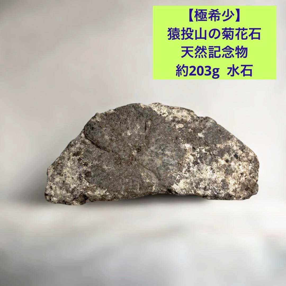 【極希少】猿投山の菊花石　約203g 天然記念物　水石　鑑賞石　菊石　鉱物