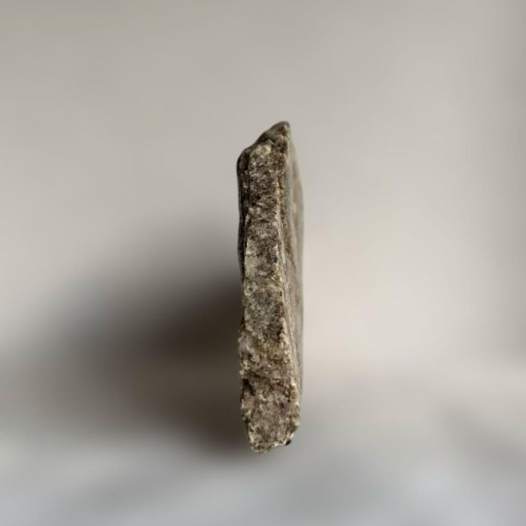 【極希少】猿投山の菊花石　約203g 天然記念物　水石　鑑賞石　菊石　鉱物