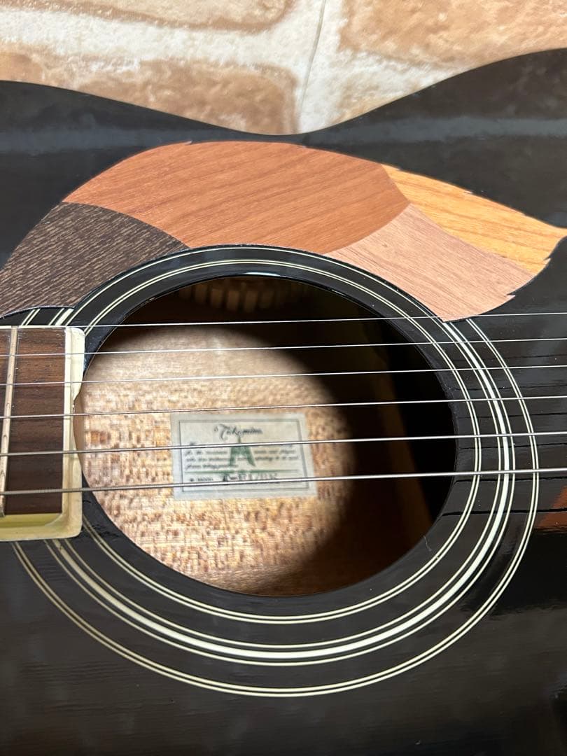 タカミネ エレクトリックアコースティックギター