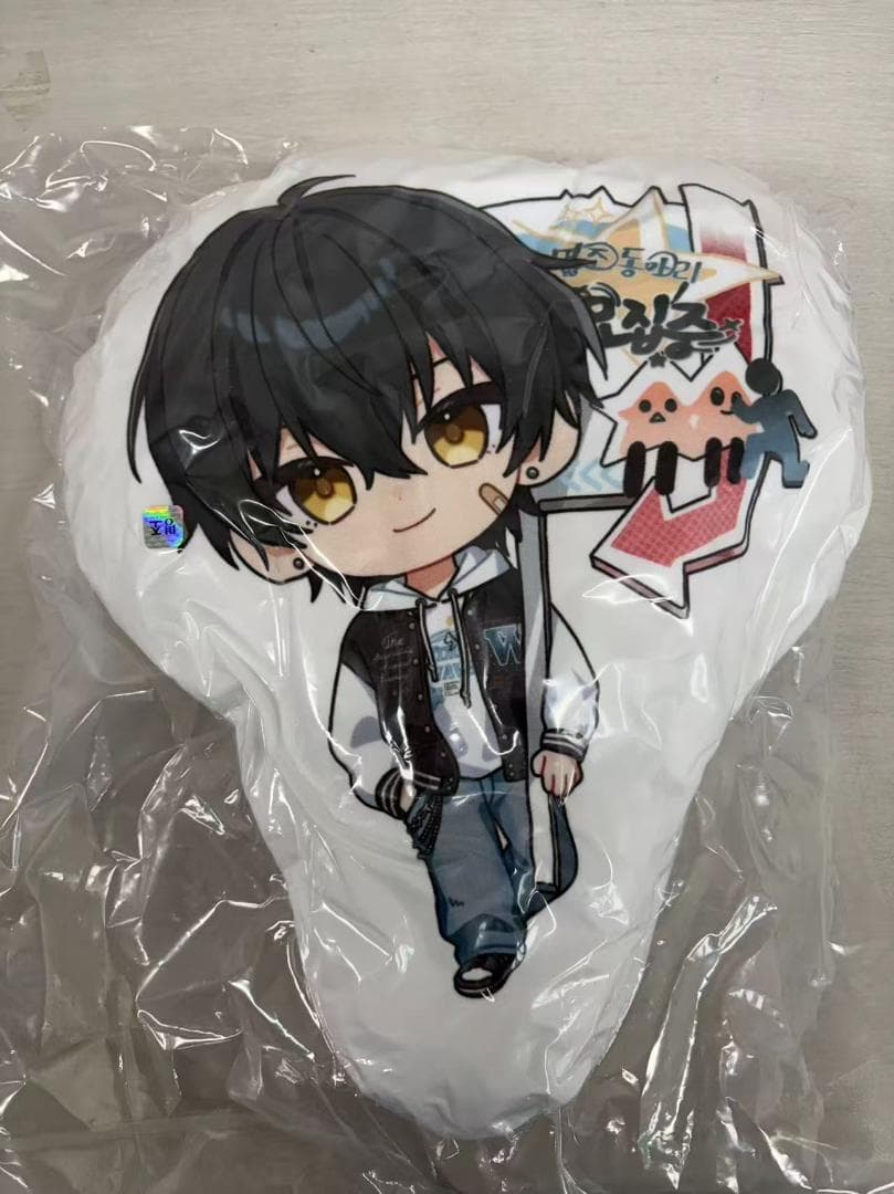 韓国限定 鳴潮 キャンパス 男漂泊者 クッション