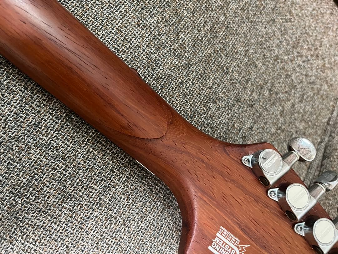 【希少】Washburn USA製 N4 DARK