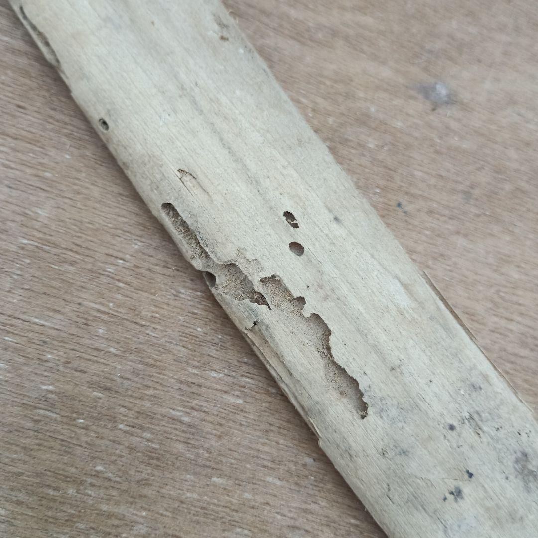 4072)刀の鞘　他部品　まとめて　鮫皮？