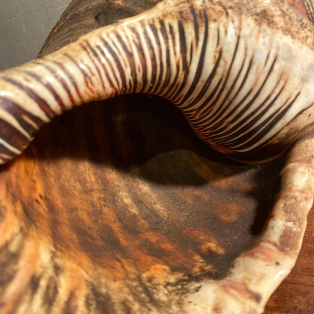 時代物 法螺貝笛 骨董品 明治 アンティーク 35cm 783g 山伏 仏教美術