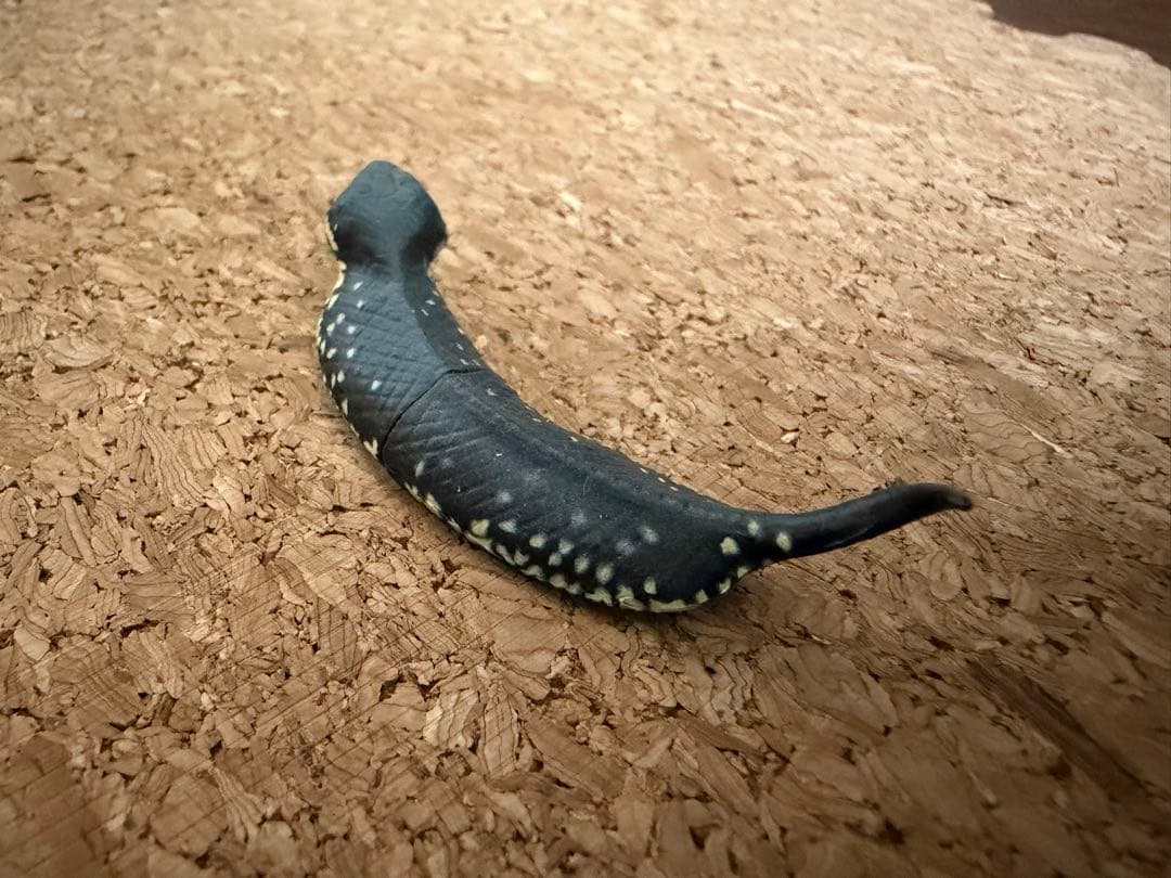 チョコエッグ　ツチノコ　シークレット