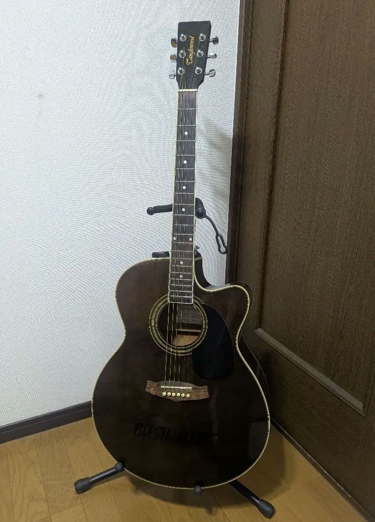 【希少】Tanglewood Discovery DBT SJCE TBK UK