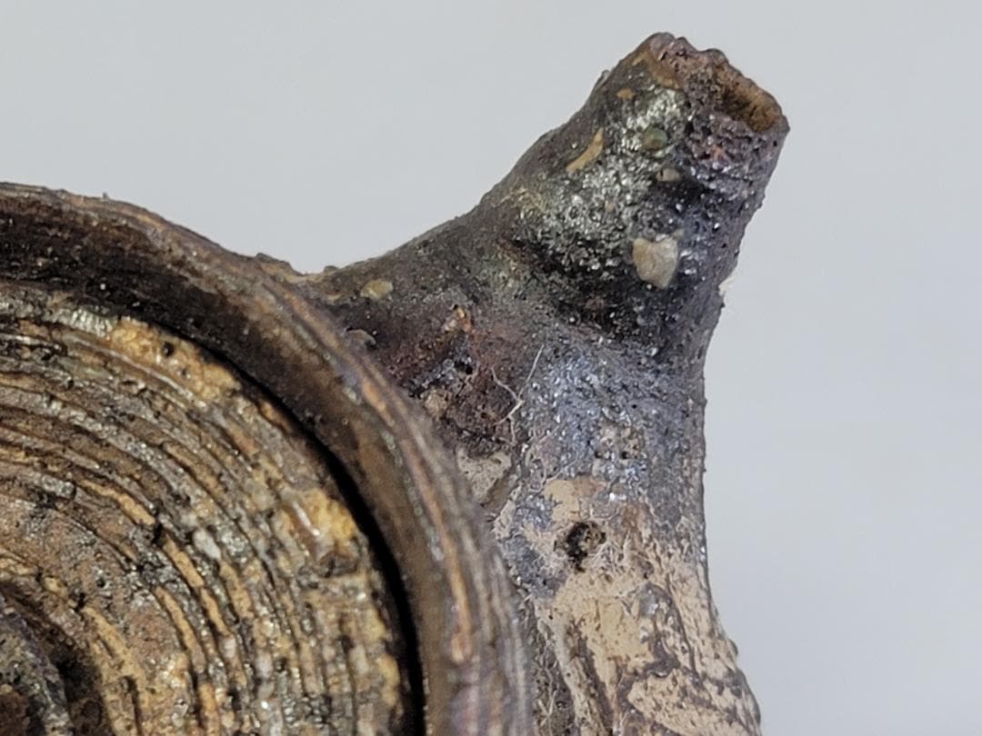 煎茶 南蛮 急須 茶器 時代物 DT430