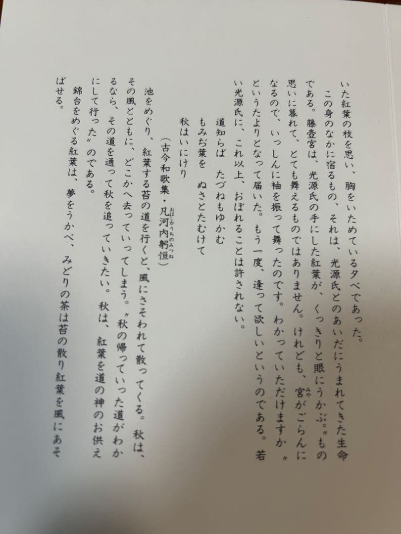 135桑野むつ子 京都 御所の花十二ヶ月【11月紅葉】抹茶椀・和陶皿 しおり付