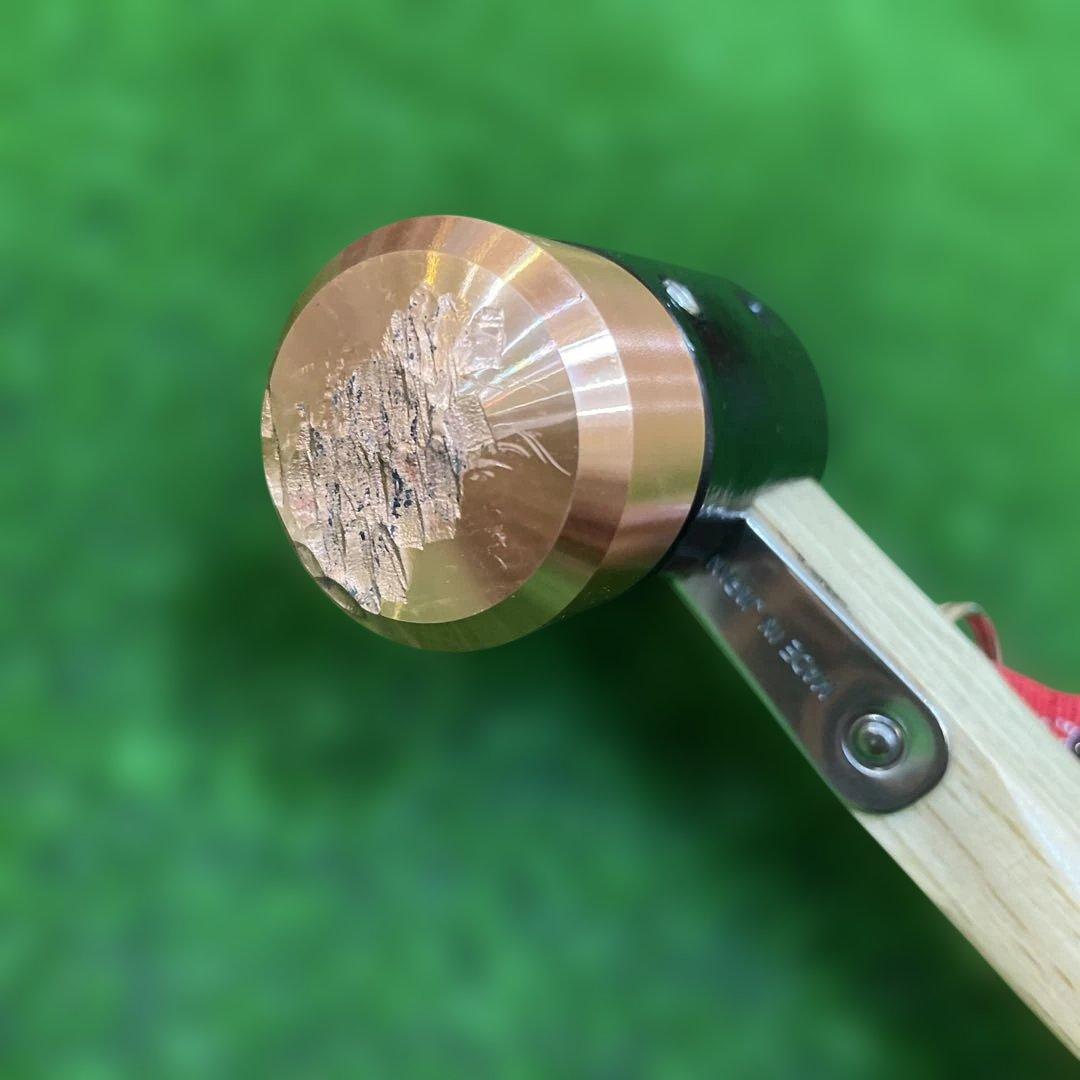 スノーピーク HD タープ シールド ヘキサ (M) Pro セット