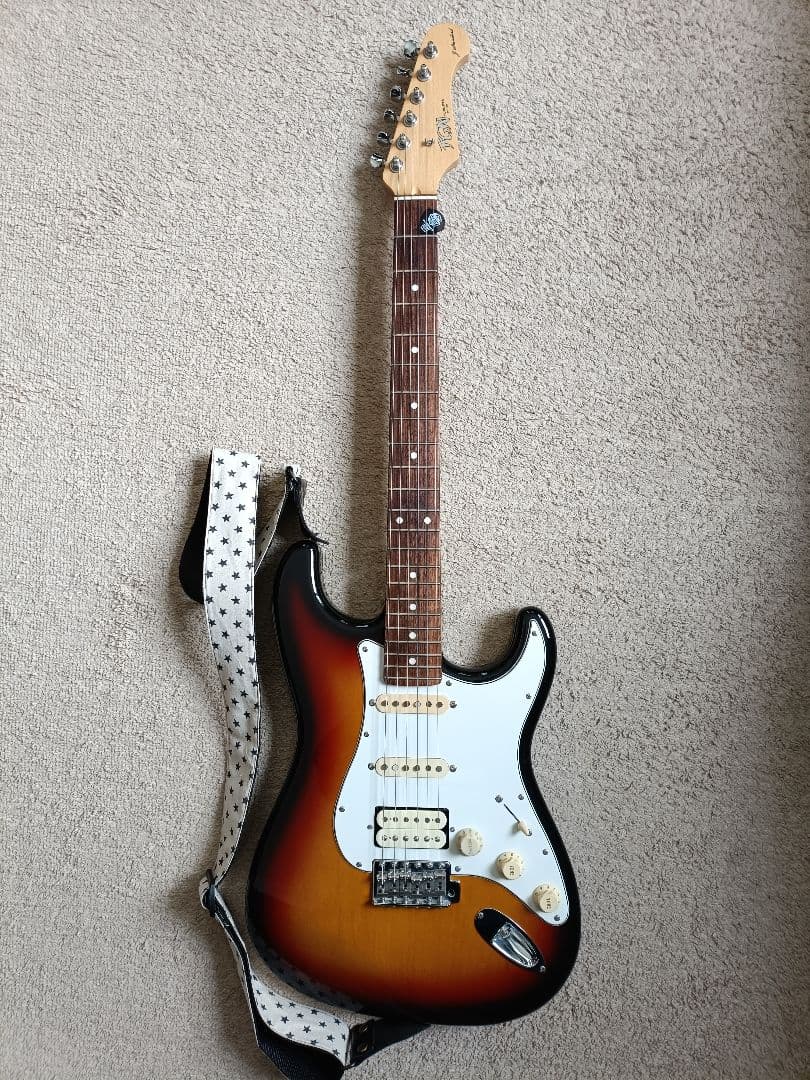 FGN J-STANDARD リアハム ストラトキャスター 日本製 美品 富士弦