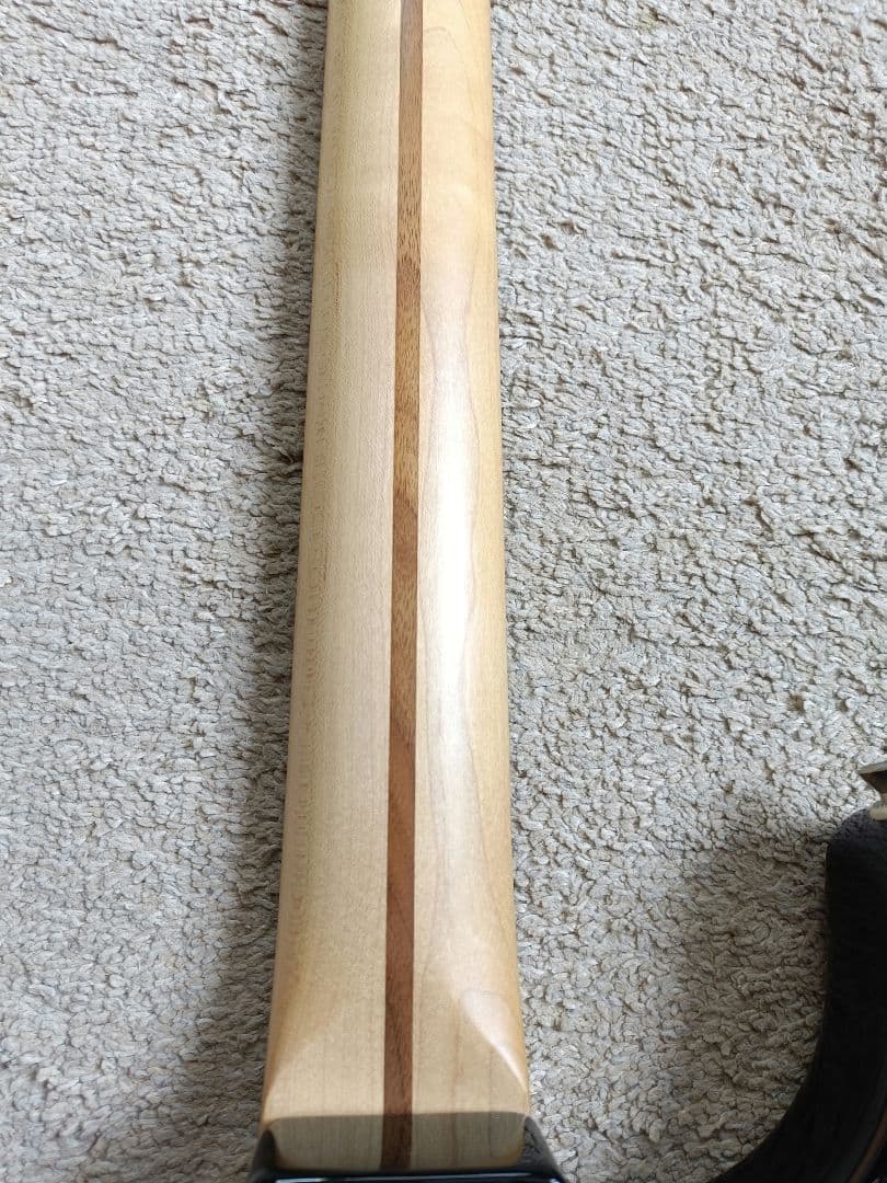 FGN J-STANDARD リアハム ストラトキャスター 日本製 美品 富士弦