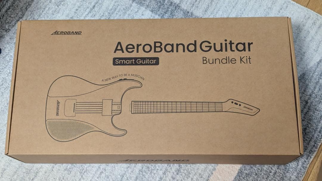 【新品未使用】エアロバンドギター AeroBand専用ケース＋マイク＋アクセサリ