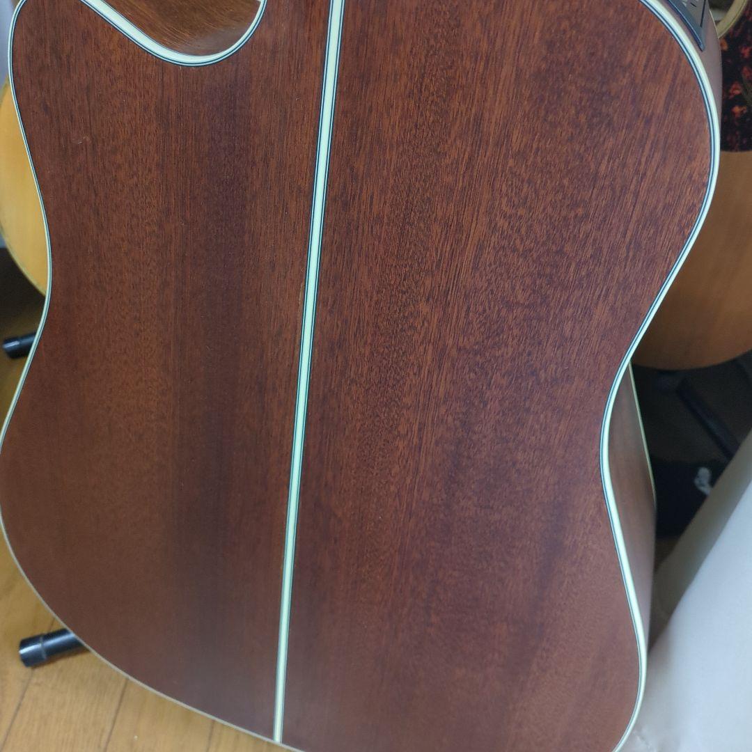 タカミネ海外輸出モデルGD-20CE-ns、