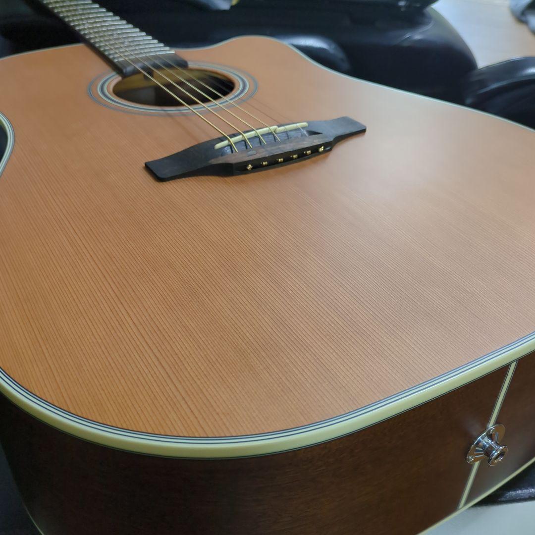 タカミネ海外輸出モデルGD-20CE-ns、