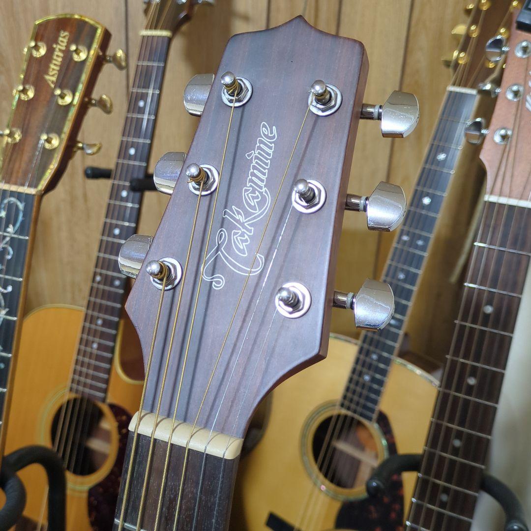 タカミネ海外輸出モデルGD-20CE-ns、