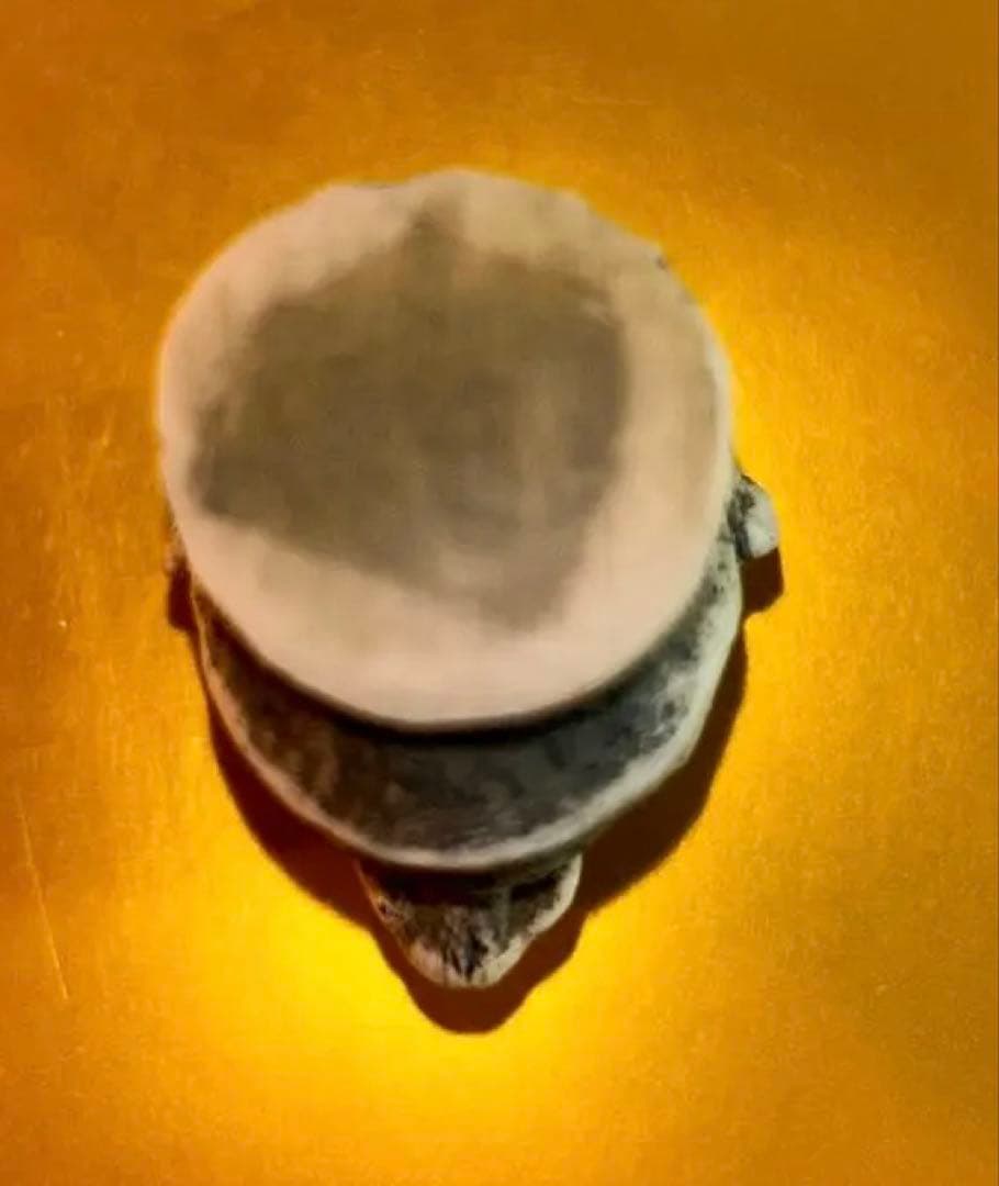 アグリーベイビー他チャーム38点セット