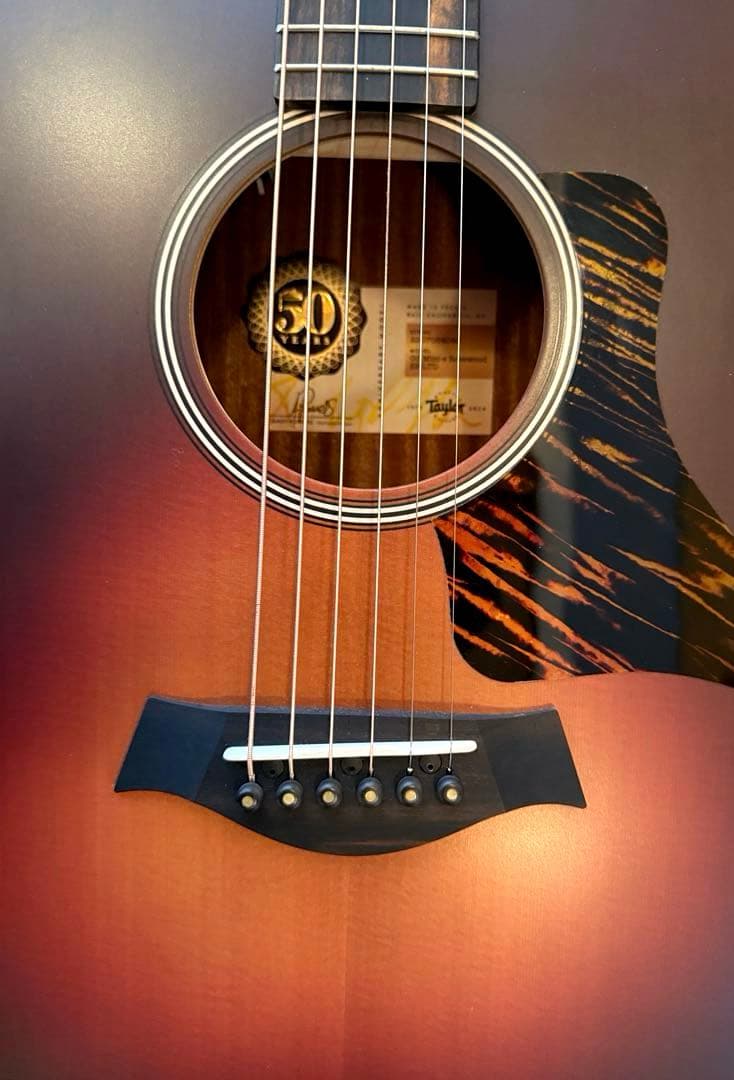 テイラー50周年GS Mini-e Rosewood SB LTD ES2搭載