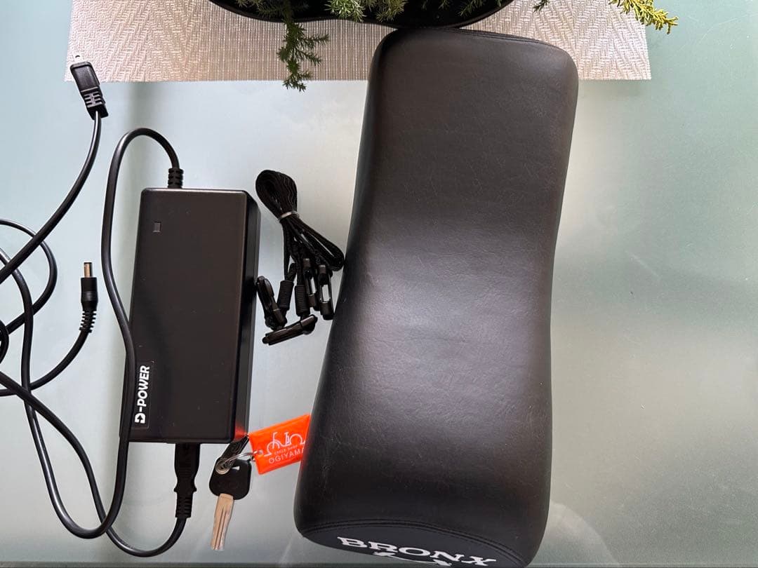 限定値下げ【発送・引取可】BRONX BUGGY（ブロンクスバギー） 電動自転車