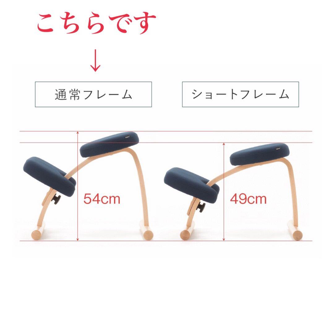 バランスチェア Balans EASY バランスイージー バランスラボ ネイビー