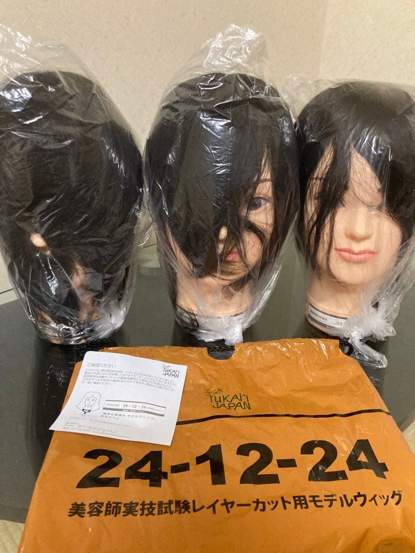 国家試験レイヤーカット用ウィッグ 3体セット未使用