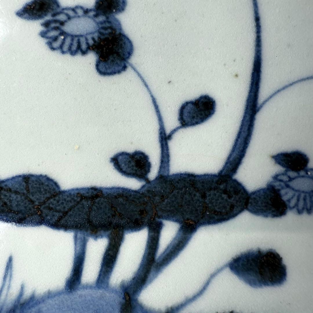 古伊万里　染付芙蓉文様長皿　五客　成化年製　江戸後期　料理屋　花草文様　裏文様有