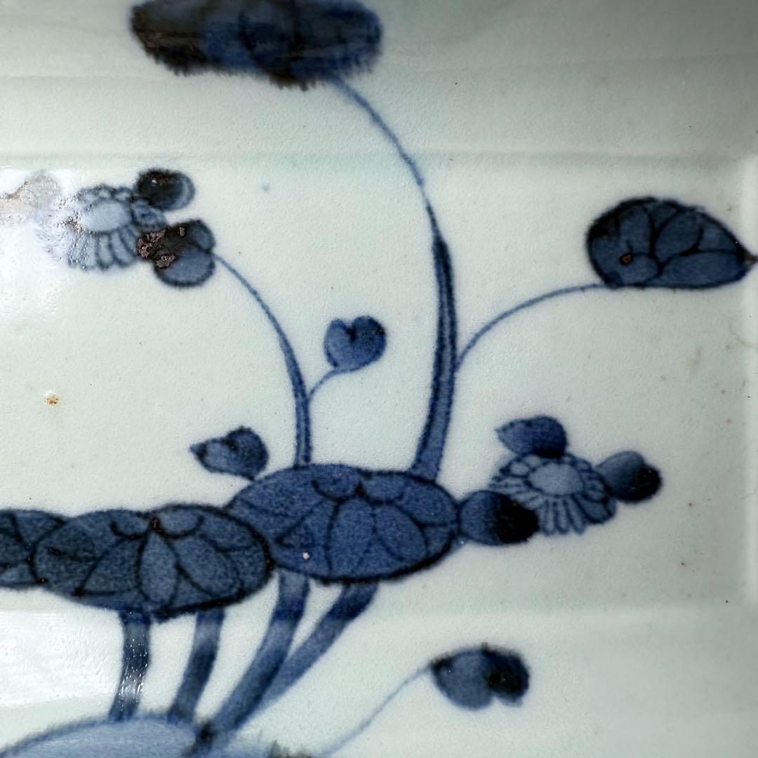 古伊万里　染付芙蓉文様長皿　五客　成化年製　江戸後期　料理屋　花草文様　裏文様有