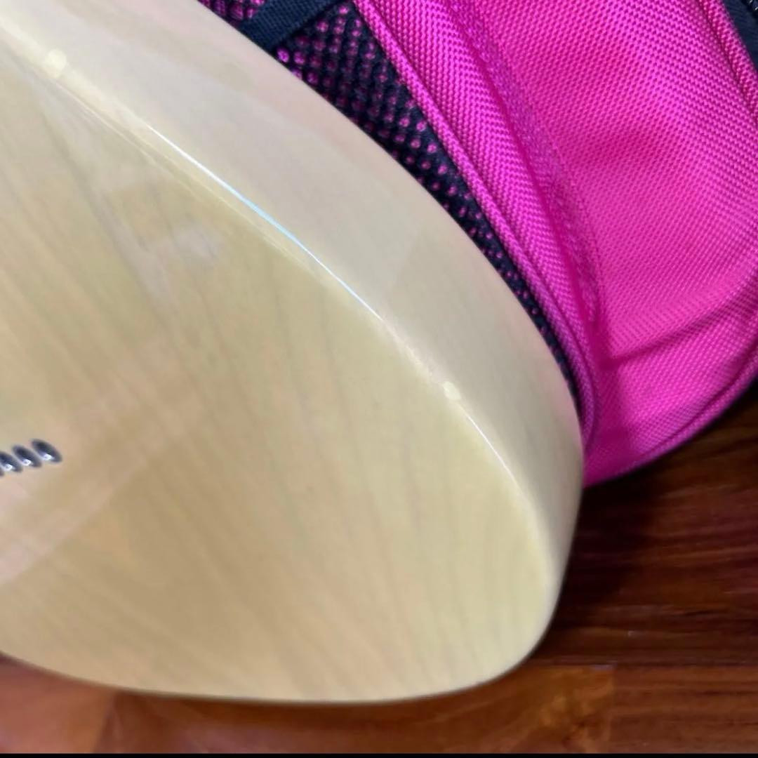 p*5様 フジゲン FGN NTL103 Neo Classic テレキャスター