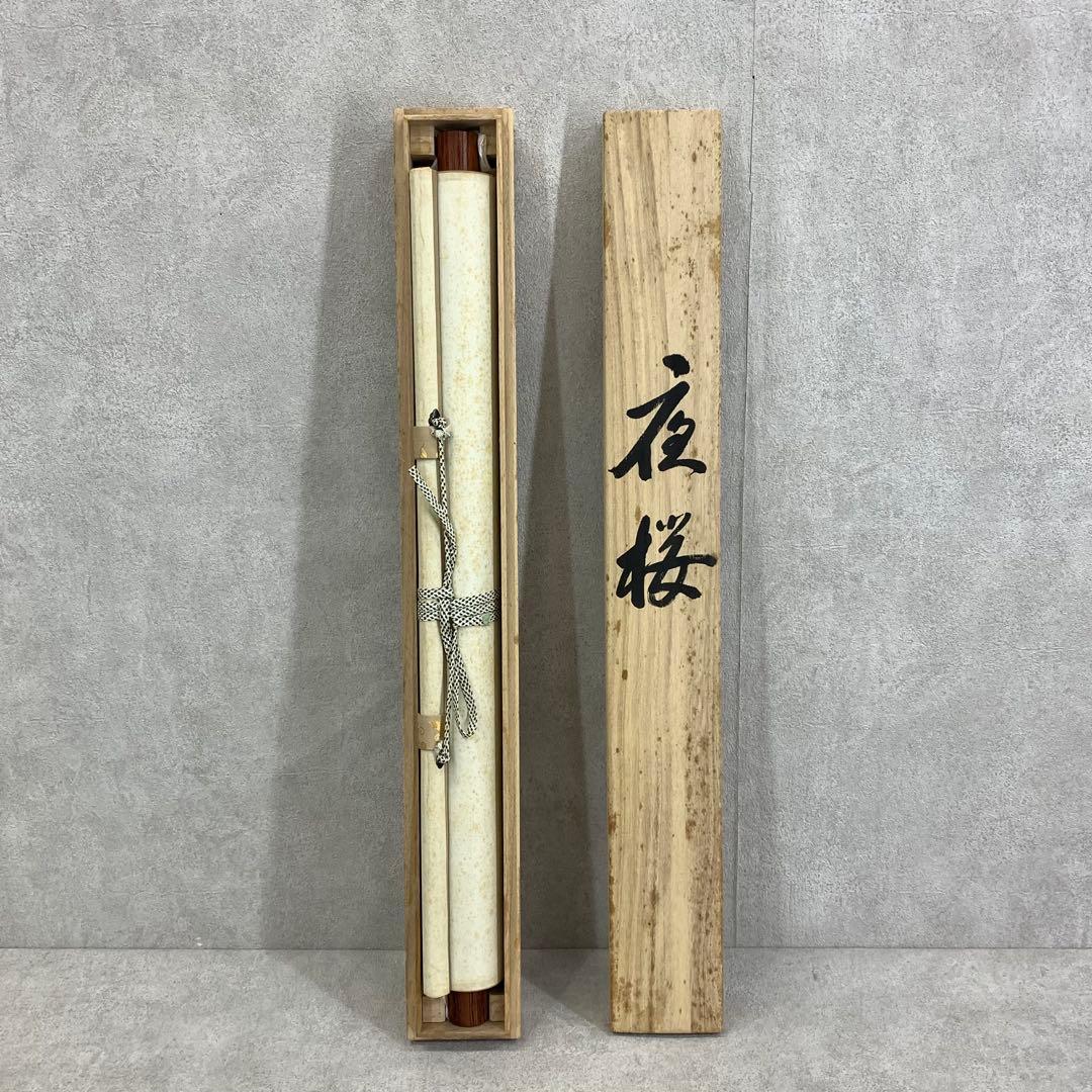 掛軸 秋峰 夜桜 共箱 春 月 満月 花 桜 5-14