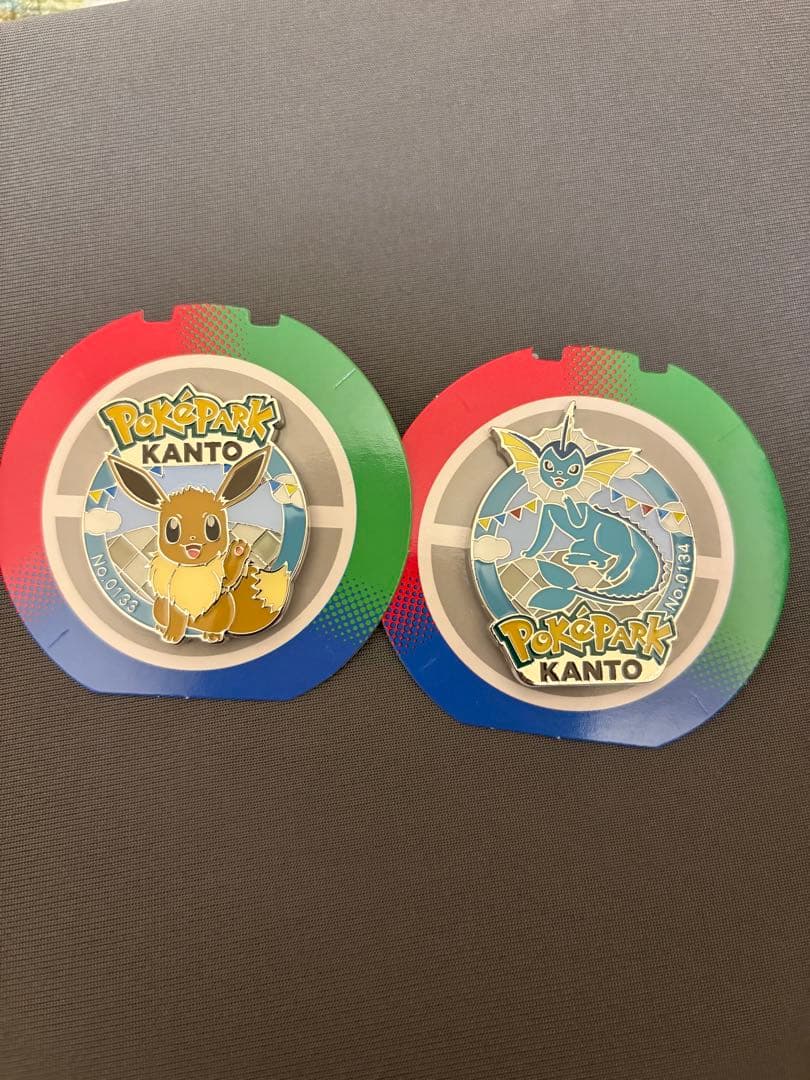 ポケパーク カントー　シャワーズ　イーブイ　ピンズ