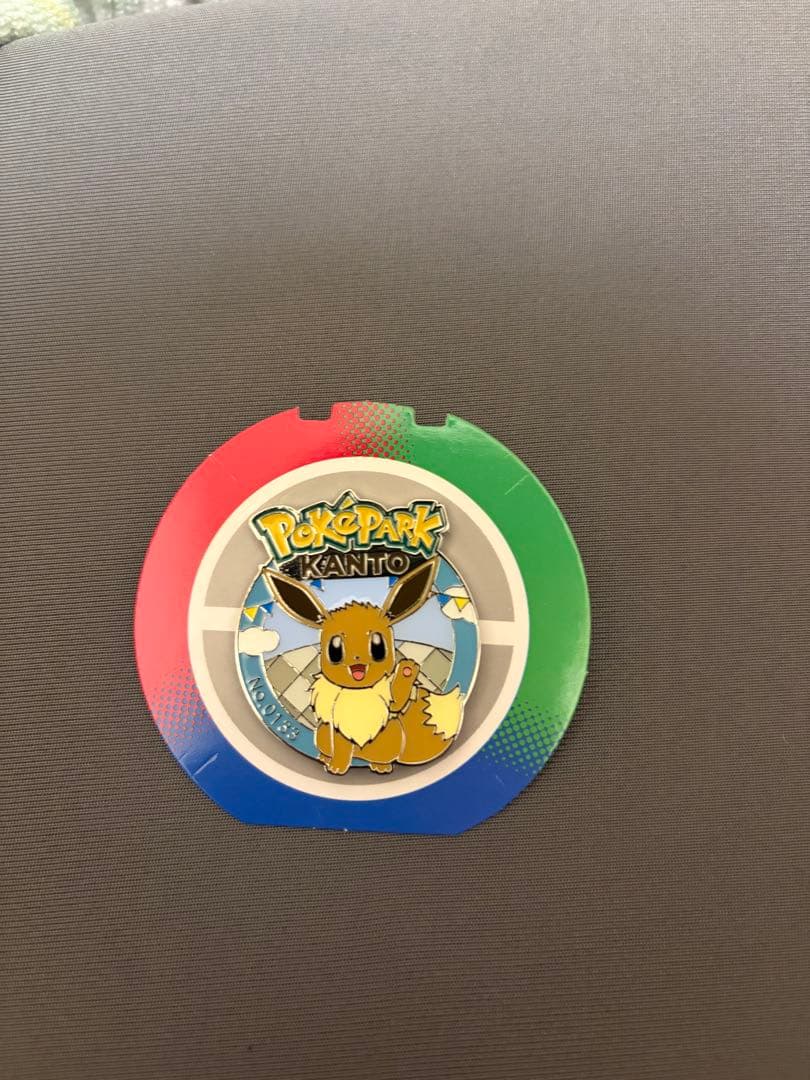 ポケパーク カントー　シャワーズ　イーブイ　ピンズ