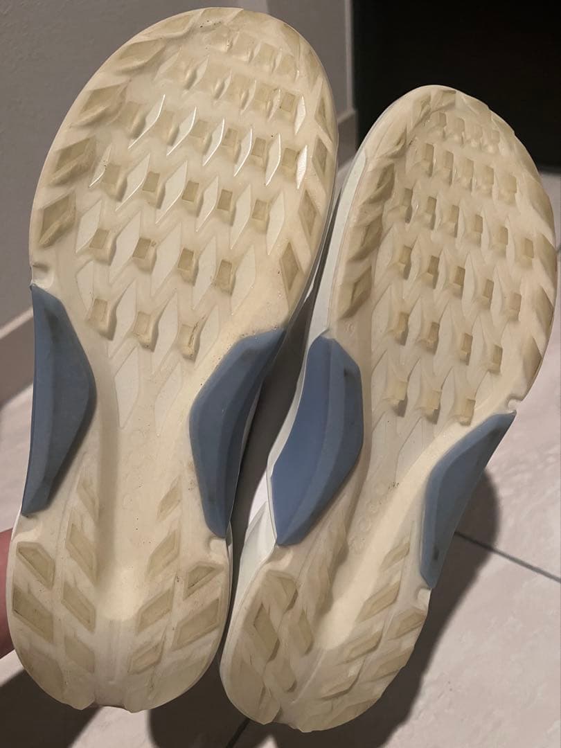 ecco ゴルフシューズ メンズ 39(24.5)