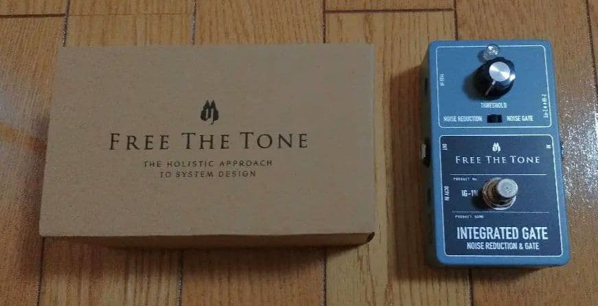 ギター Free the tone IG-1N