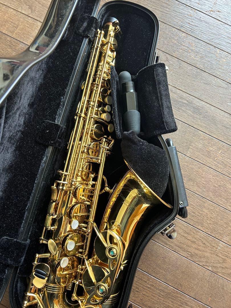 THE MARCATO アルトサックス用ケース ブラック