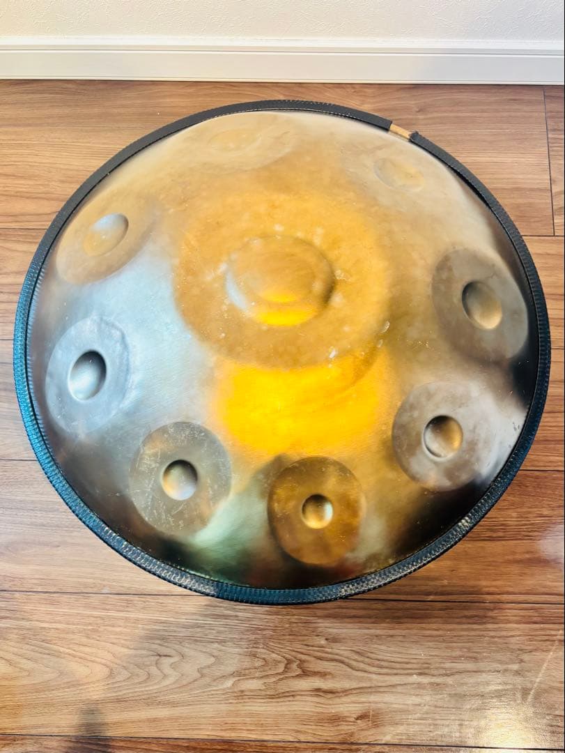 スティールパン キャリングケース付き