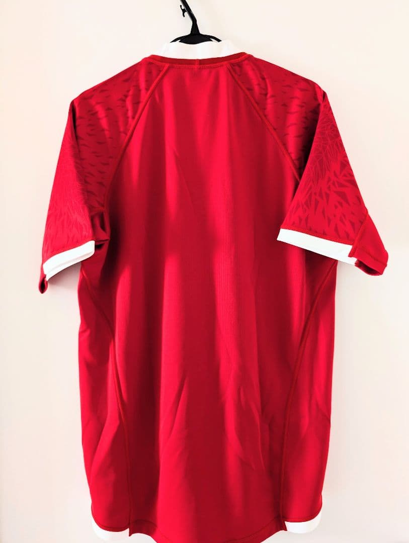 値下げ★新品未使用「ブリティッシュ・ライオンズ」ジャージ（Ｌサイズ