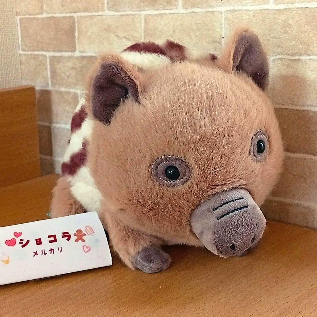  swinley boar ジェリーキャット イノシシ　猪 動物