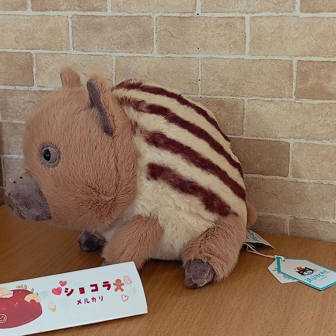  swinley boar ジェリーキャット イノシシ　猪 動物