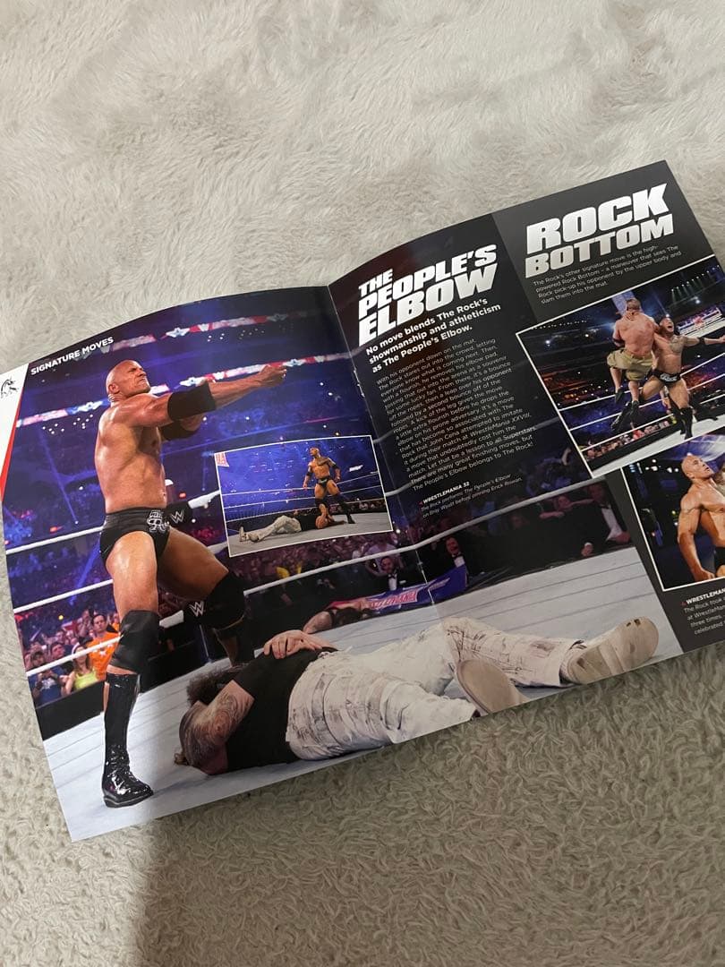 WWE Championship The Rock フィギュア