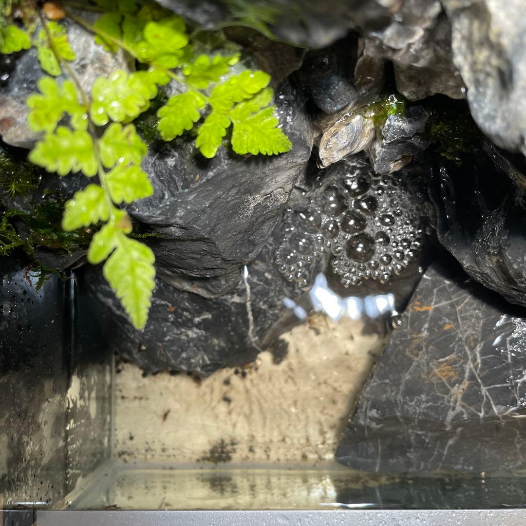 y*u様 【完成品】迫力のある大きな滝のアクアテラリウム